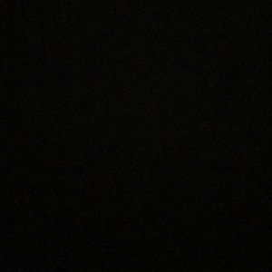 Meet your Posher, Darcy